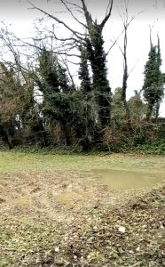 area abbandonata per le vittime delle Foine Istria 2